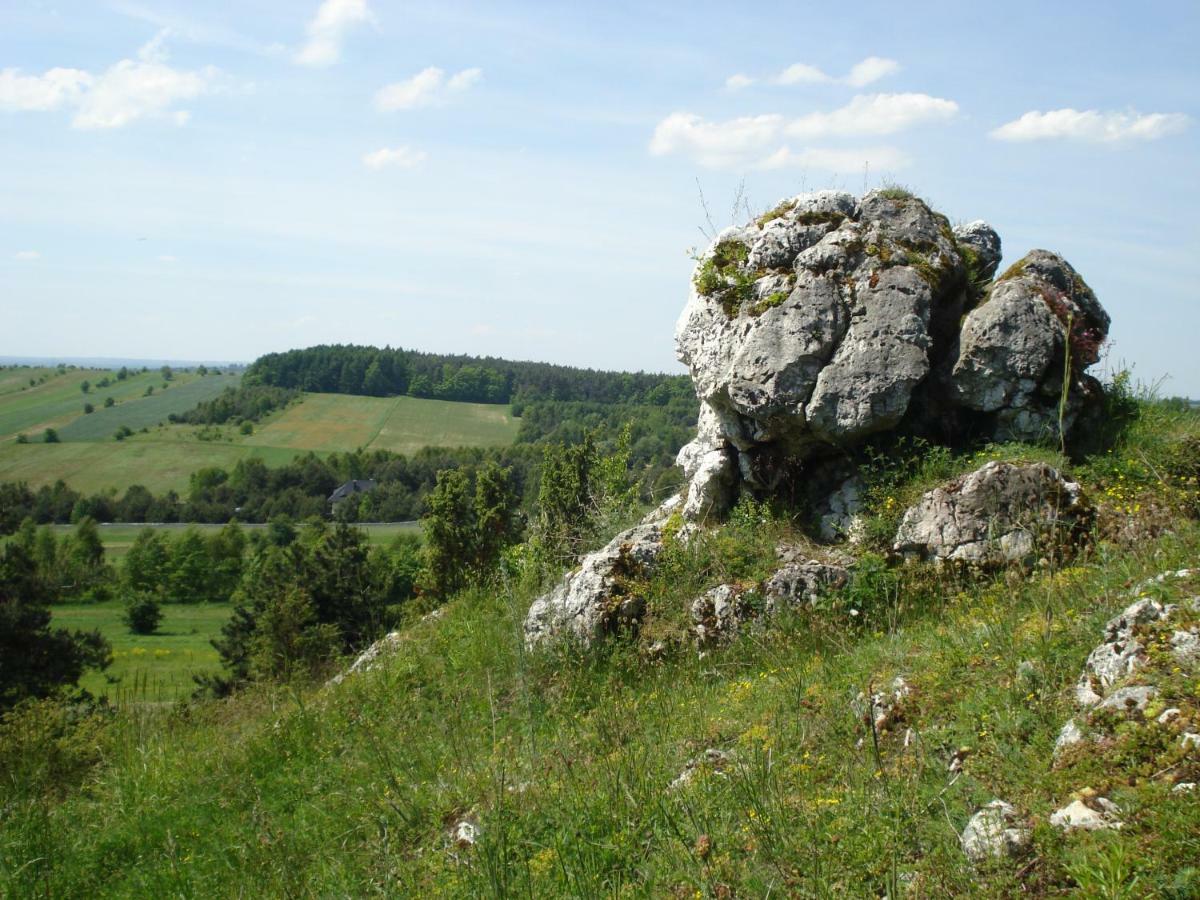 Villa Jura Pokoje Goscinne Zarki Exteriör bild