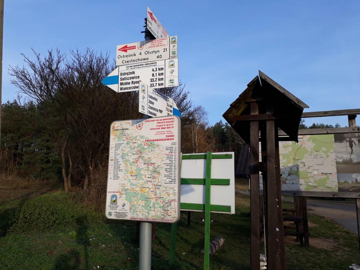Villa Jura Pokoje Goscinne Zarki Exteriör bild