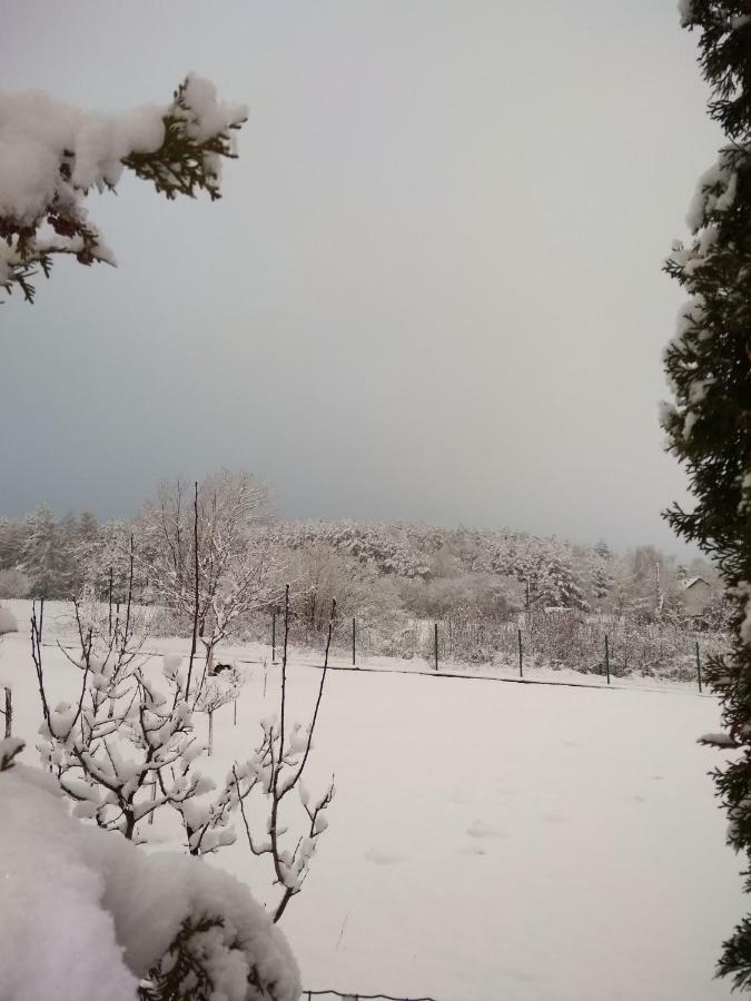 Villa Jura Pokoje Goscinne Zarki Exteriör bild